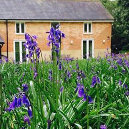 Grooms Cottage Alkham Экстерьер фото