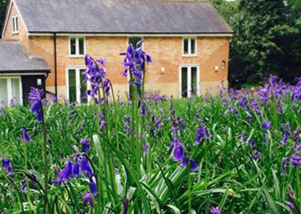 Grooms Cottage Alkham Экстерьер фото